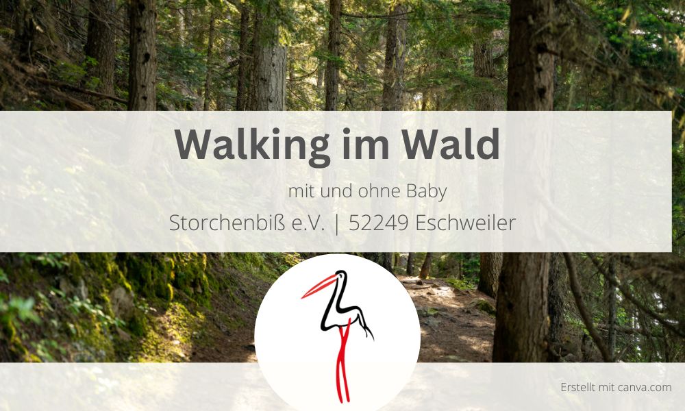 Walking im Wald